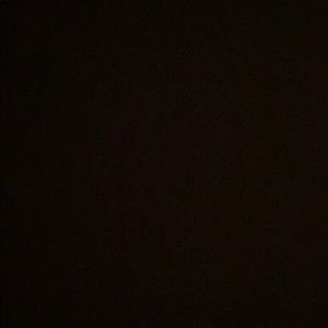 Meet your Posher, Tayler